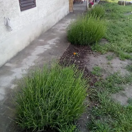 Casa vacanze Rustic Haus Pivon *