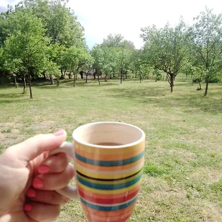 Rustic Haus Pivon Stara Moravica