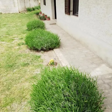 Rustic Haus Pivon Stara Moravica